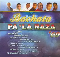 Si No Te Hubieras Ido (bachata) Song Lyrics