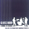 Glass Harp Strings Attached Live with the Youngstown Symphony Orchestra, 2001