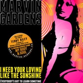 I Need your loving like the sunshine (Mix II Radio Mix by P.Clubber) artwork
