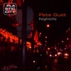 Pete Gust - Space for Now