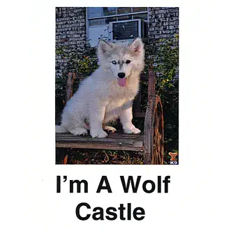 I'm a Wolf - Single by Castle album reviews, ratings, credits