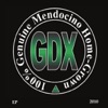 GDX - Dont Break My Heart