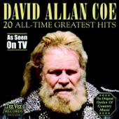 20 All-Time Greatest Hits (Re-Recorded Versions) artwork