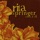 Rita Springer-I Have to Believe