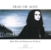 Dead Or Alive - Hooked On Love