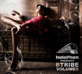 Holophon Presents B-Tribe, Vol. 6 artwork