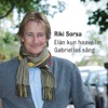 Elän Kuin Haaveilin / Gabriellas Sång - Single