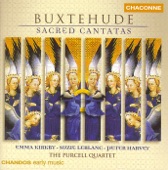 Cantate Domino Canticum Novum, BuxWV 12: Cantate Domino Canticum Novum artwork