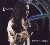 Native Lands artwork