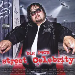 Street Celebrity by Big Perm album reviews, ratings, credits