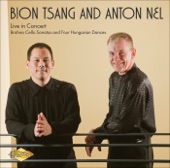 Anton Nel & Harry Sargous - Cello Sonata No. 2 In F Major, Op. 99: I. Allegro Vivace