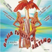 Baila Tu Ritmo Latino artwork
