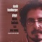 The Nines - David Hamburger lyrics