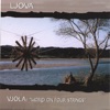 Vjola: World on Four Strings