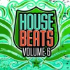 House Beats, Vol. 6