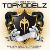 Best Of Topmodelz (DJ Edition) artwork