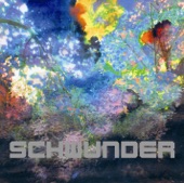 Schwunder artwork
