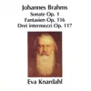Brahms: Sonate, Op. 1, Fantasien, Op. 116 & Drei Intermezzi, Op. 117 album lyrics, reviews, download