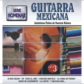 Serie Homenaje: Guitarra Mexicana - Auténticos Éxitos de Nuestra Música artwork