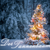 Hans Christian Andersen - Der Tannenbaum artwork