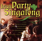 Irish Party Singalong - 41 Irish Party Classics artwork