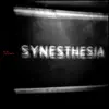 Synesthesia / Fever - EP (Single - Moving Shadow SHADOW110iTMS - Drum & Bass) album lyrics, reviews, download
