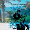 Canned Heat - Dust My Broom