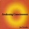 Consciousness Waking - Jan Novotka lyrics