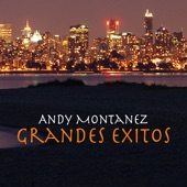 Andy Montañez - Un Verano En Nueva York