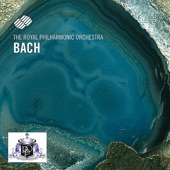 VII. Badinerie: Orchestral Suite No. 2 In B Minor, Bwv 1067 artwork