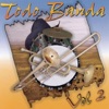 Todo Banda, Vol. 2, 2001