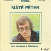 MATE PETER ELMEGYEK