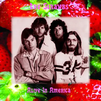 Alive In America - The Strawbs