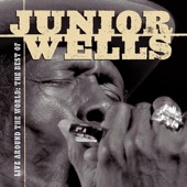 Live Around the World - The Best of Junior Wells (Live) artwork