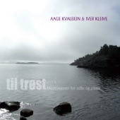 Eg Veit I Himmerik Ei Borg artwork