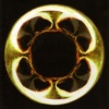 Small Life Form - Small