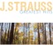 An Der Schönen, Blauen Donau, Op. 314 - the Blue Danube cover