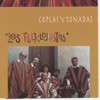 Los Folkloristas - La Malagueña (Son Huasteco, México)