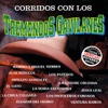 Corridos Con los Tremendos Gavilanes, 1999