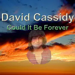 Could It Be Forever - David Cassidy