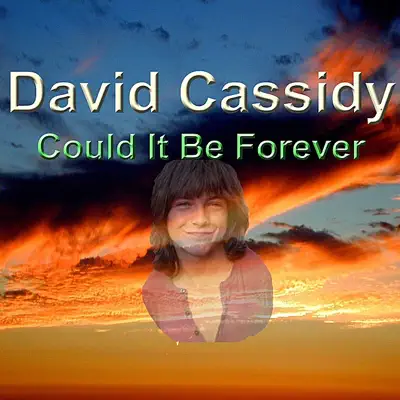 Could It Be Forever - David Cassidy