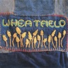 Wheatfield - Find the Cost of Freedom