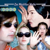 Ze Malibu Kids - You're So Vain