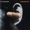 Paul Butterfield - I Don't Wanna Go