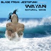 Natural Wave (Blade From Jestofunk Presents Wayan)