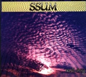 Ssum - Used Colours