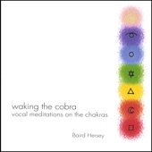 Baird Hersey - 7th Chakra: White Light