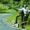 Lazy River