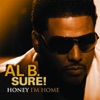 Al B. Sure! - Nite & Day Interlude