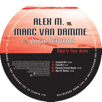 Died In Your Arms (Passion Groove Remix) by Alex M. & Marc van Damme song reviws